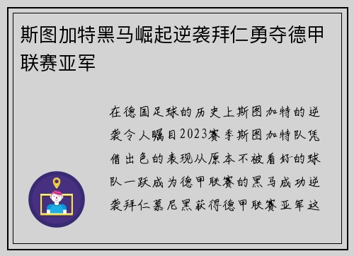 斯图加特黑马崛起逆袭拜仁勇夺德甲联赛亚军 斯图加特黑马崛起逆袭拜仁勇夺德甲联赛亚军